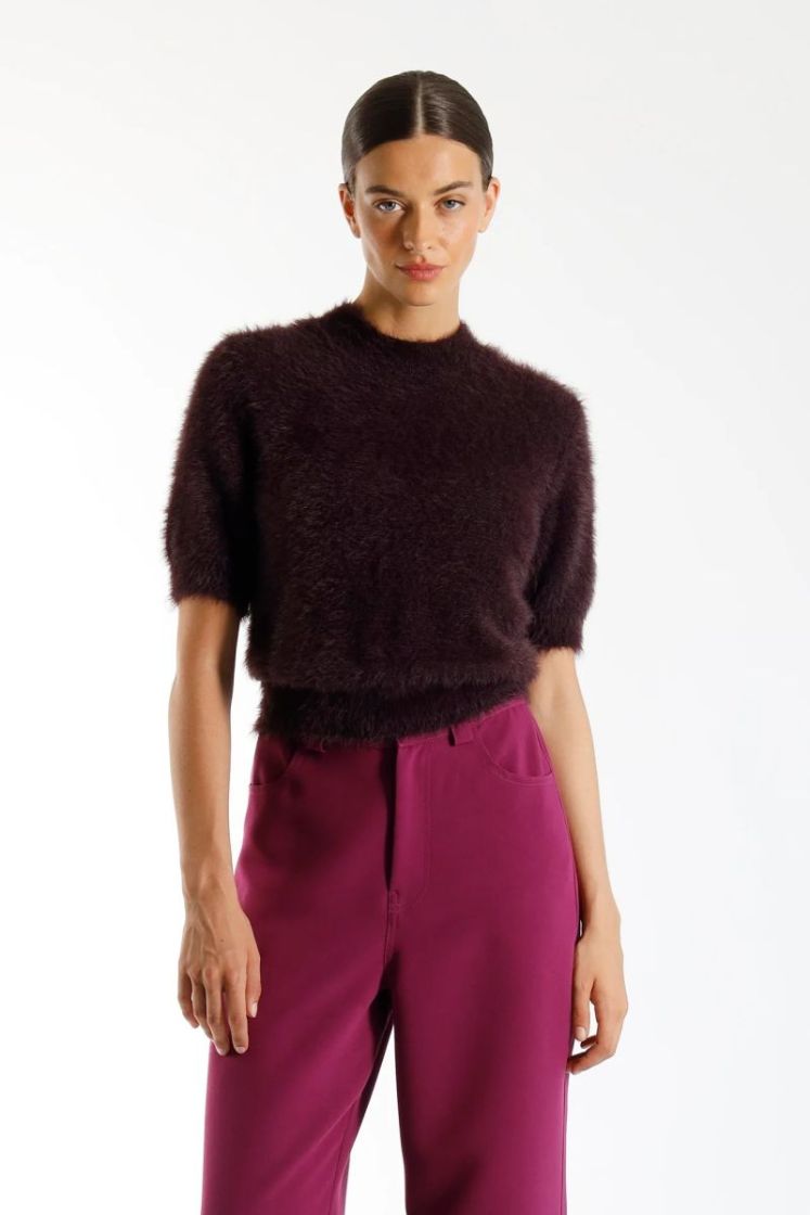  PLUM